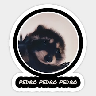 Pedro Raccoon Sticker